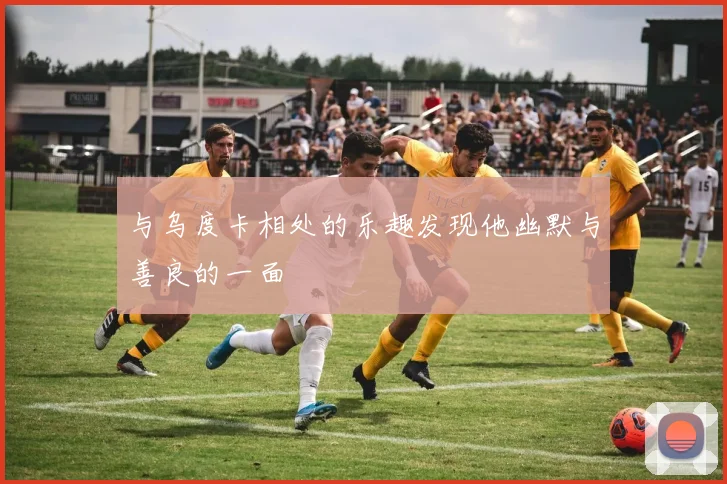 与乌度卡相处的乐趣发现他幽默与善良的一面